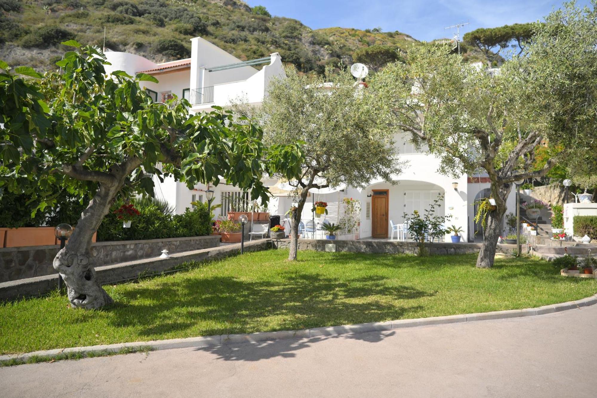 Blu Maronti Apartment Barano d'Ischia Ngoại thất bức ảnh