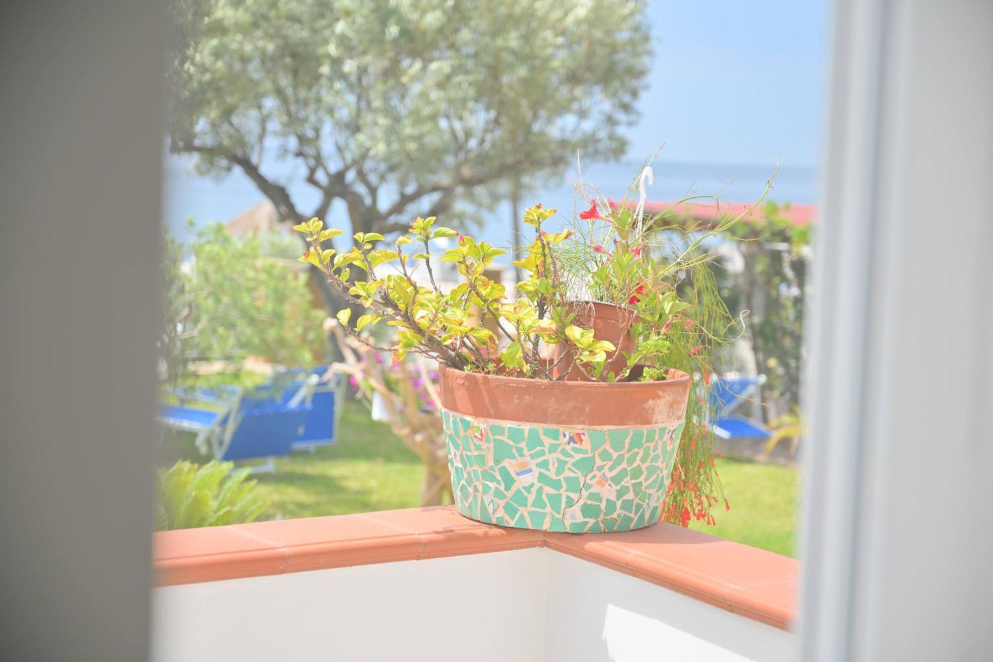 Blu Maronti Apartment Barano d'Ischia Ngoại thất bức ảnh